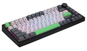 {{photo.Alt || photo.Description || 'Клавиатура ZONE 51 Citrin'}}